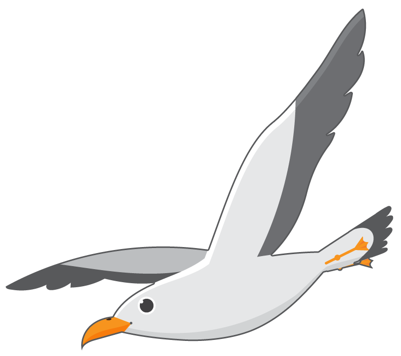 Shady Side ES Seagull